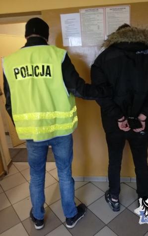 Oferował do wynajęcia „wirtualne” domki i apartamenty. Policjanci zatrzymali oszusta
