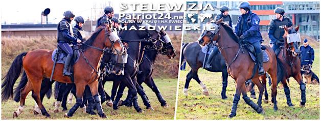 [VIDEO] Atestacja konia służbowego: gwarancja najwyższych standardów wyszkolenia w Komendzie Stołecznej Policji